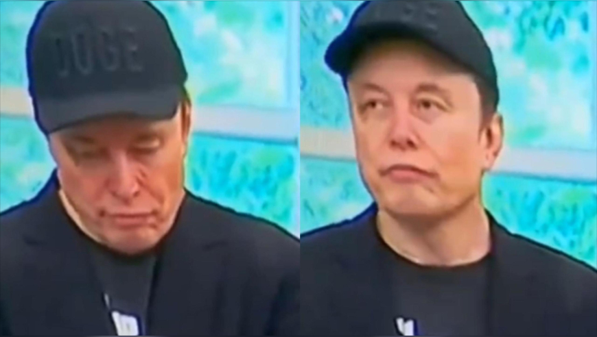 澳门管家婆资料全部2025,当秀场穿搭照进现实,动态词语解释落实_豪华版V13.56