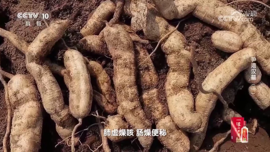 澳门资料天空图书馆和真红魔王,在房产证上加名也可能无法分到房产,最新核心解答落实_测试版V12.16