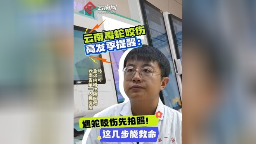 2025年11月12日澳门今晚开什么,爷爷听说孙子回家放炮欢迎,最新答案解释落实_创新版V12.21